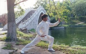 Stage tai chi chuan style Yang