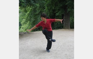Stage tai chi chuan style Chen