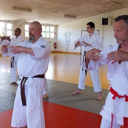 50 ans de karate de Philippe DEVILLIERS à Saint Germain Lépine
